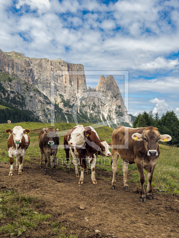 frei wählbarer Bildausschnitt für Ihr Bild auf Grußkarte