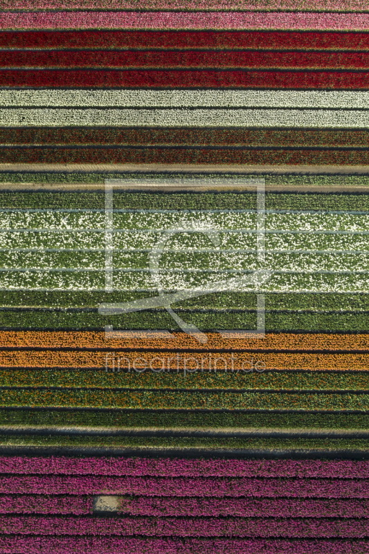 frei wählbarer Bildausschnitt für Ihr Bild auf Grußkarte