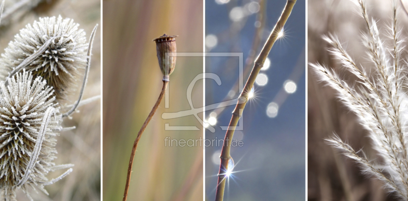 frei wählbarer Bildausschnitt für Ihr Bild auf Grußkarte