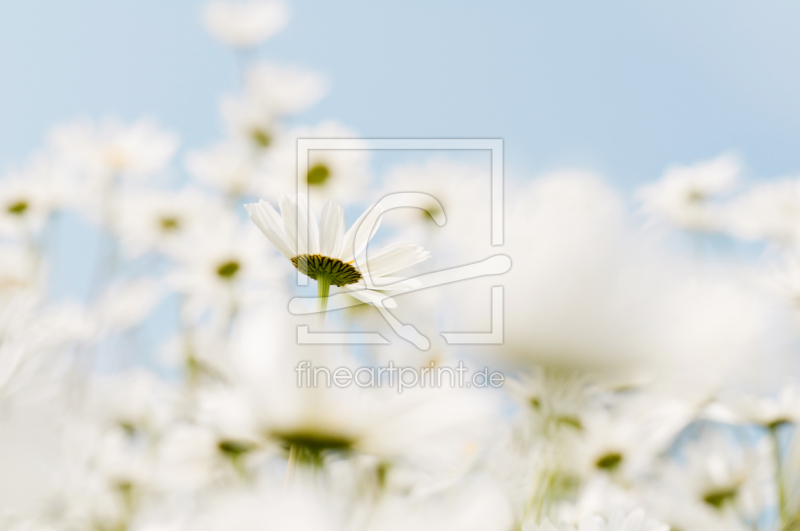 frei wählbarer Bildausschnitt für Ihr Bild auf Grußkarte