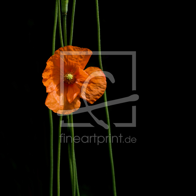 frei wählbarer Bildausschnitt für Ihr Bild auf Grußkarte