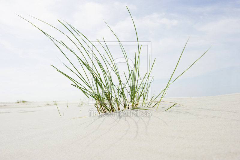 frei wählbarer Bildausschnitt für Ihr Bild auf Grußkarte