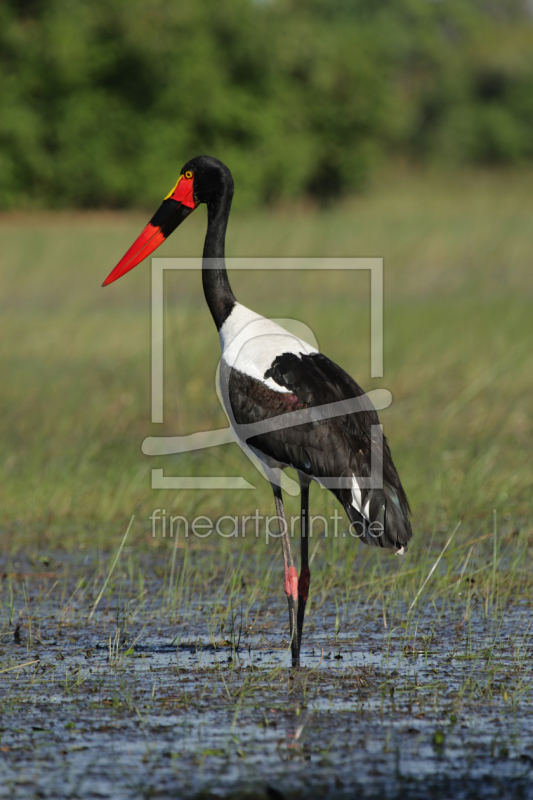 frei wählbarer Bildausschnitt für Ihr Bild auf Grußkarte