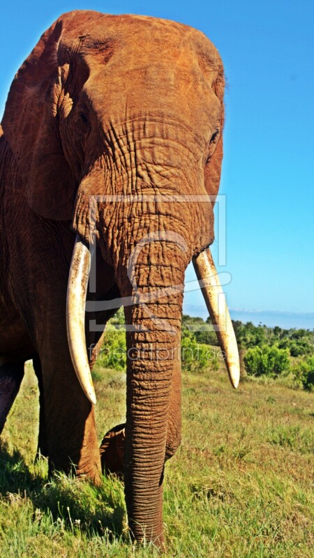 frei wählbarer Bildausschnitt für Ihr Bild auf Grußkarte
