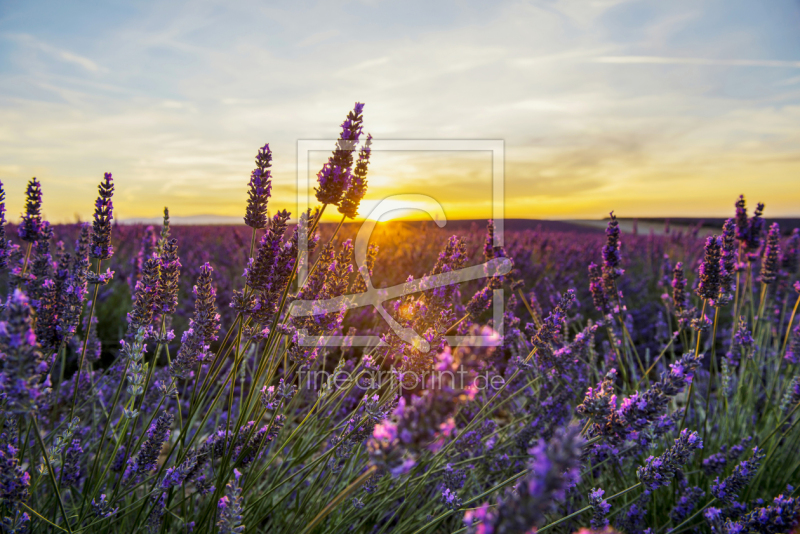 frei wählbarer Bildausschnitt für Ihr Bild auf Grußkarte