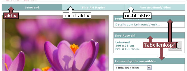 Layout Tabellenköpfe Layout Tabellenköpfe