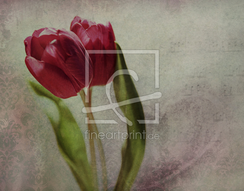 frei w&auml;hlbarer Bildausschnitt f&uuml;r Ihr Bild auf Kissen