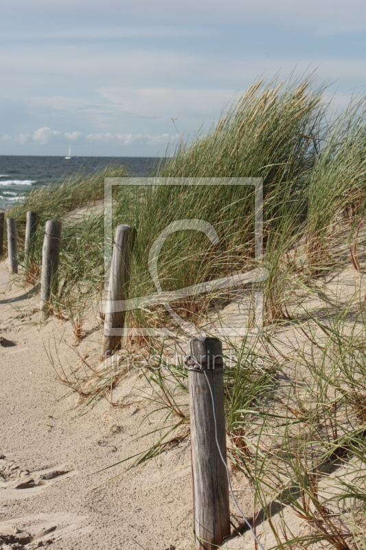 frei w&auml;hlbarer Bildausschnitt f&uuml;r Ihr Bild auf Kissen