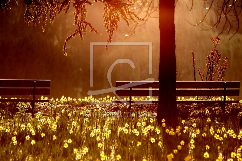 frei w&auml;hlbarer Bildausschnitt f&uuml;r Ihr Bild auf Kissen