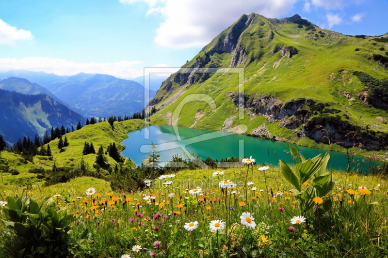 frei w&auml;hlbarer Bildausschnitt f&uuml;r Ihr Bild auf Kissen