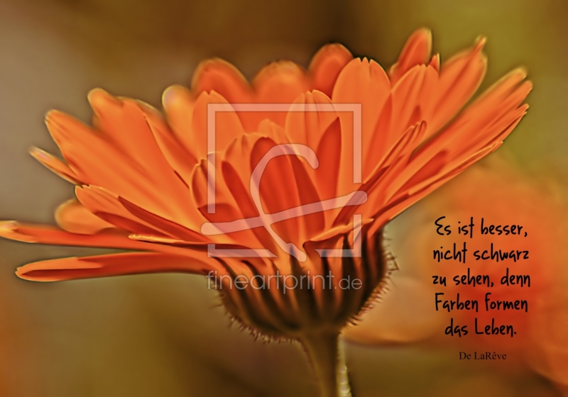 frei w&auml;hlbarer Bildausschnitt f&uuml;r Ihr Bild auf Kissen