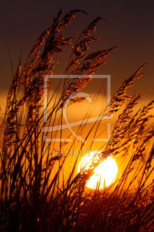 frei w&auml;hlbarer Bildausschnitt f&uuml;r Ihr Bild auf Kissen