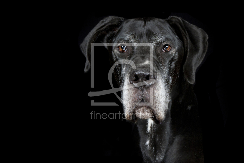 frei w&auml;hlbarer Bildausschnitt f&uuml;r Ihr Bild auf Kissen