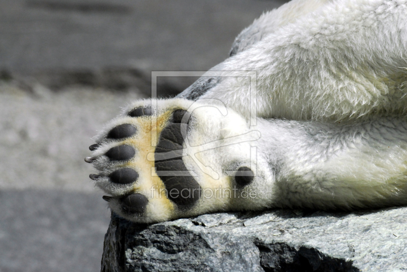 frei w&auml;hlbarer Bildausschnitt f&uuml;r Ihr Bild auf Kissen