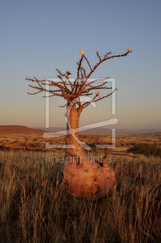 frei w&auml;hlbarer Bildausschnitt f&uuml;r Ihr Bild auf Kissen