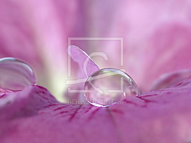 frei w&auml;hlbarer Bildausschnitt f&uuml;r Ihr Bild auf Kissen