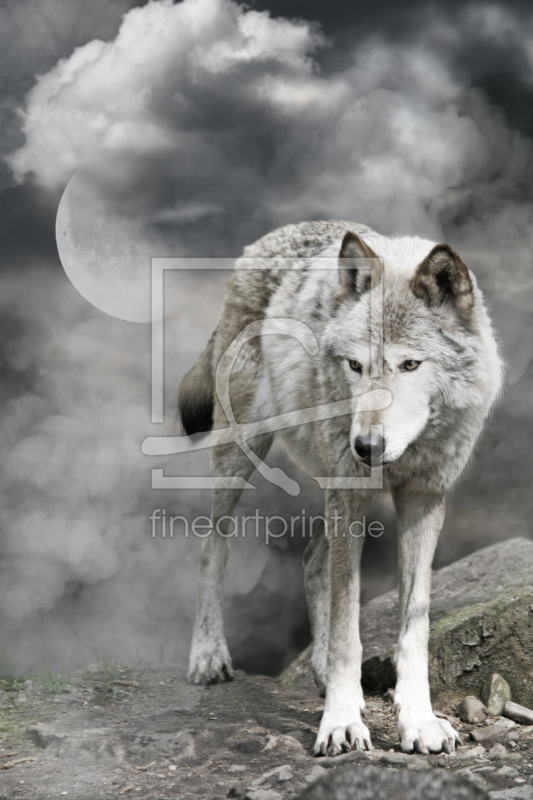 frei w&auml;hlbarer Bildausschnitt f&uuml;r Ihr Bild auf Kissen