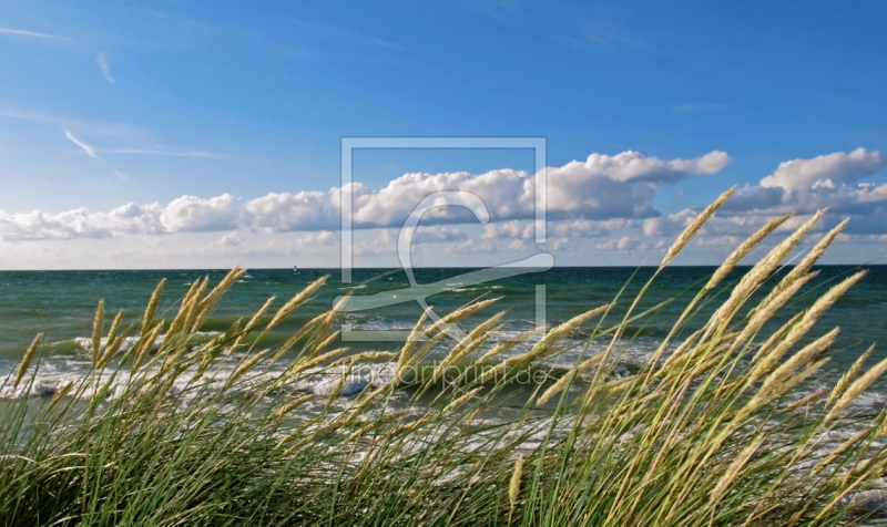 frei w&auml;hlbarer Bildausschnitt f&uuml;r Ihr Bild auf Kissen