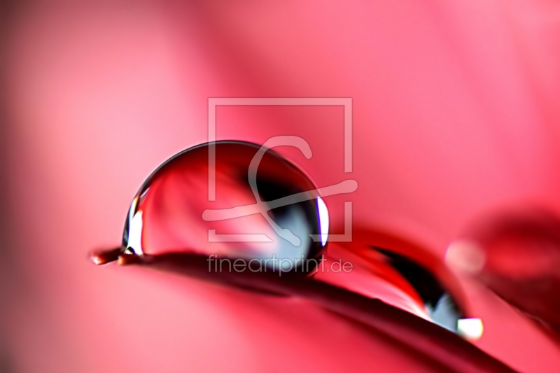 frei w&auml;hlbarer Bildausschnitt f&uuml;r Ihr Bild auf Kissen