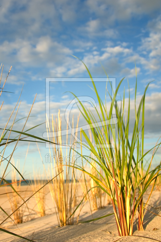 frei w&auml;hlbarer Bildausschnitt f&uuml;r Ihr Bild auf Kissen