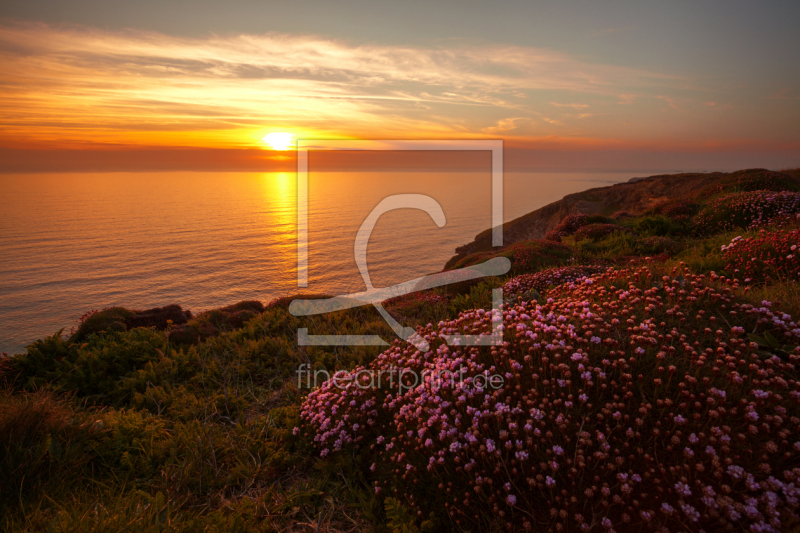 frei w&auml;hlbarer Bildausschnitt f&uuml;r Ihr Bild auf Kissen