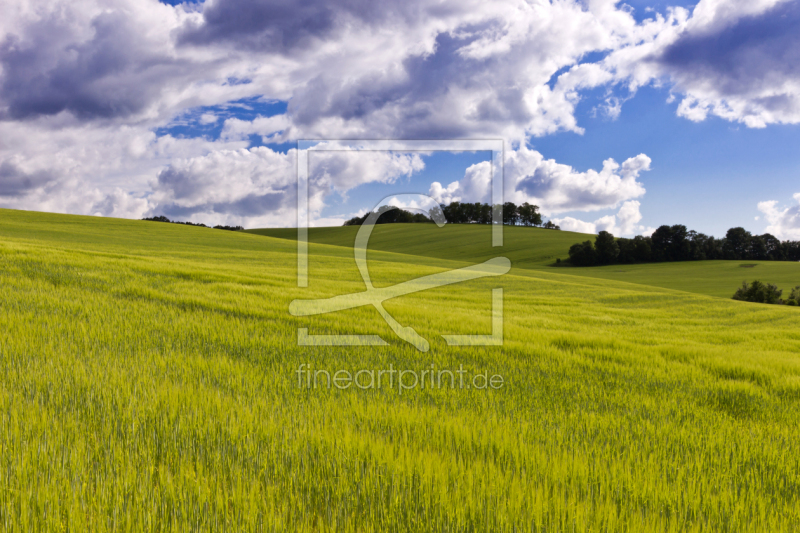 frei w&auml;hlbarer Bildausschnitt f&uuml;r Ihr Bild auf Kissen