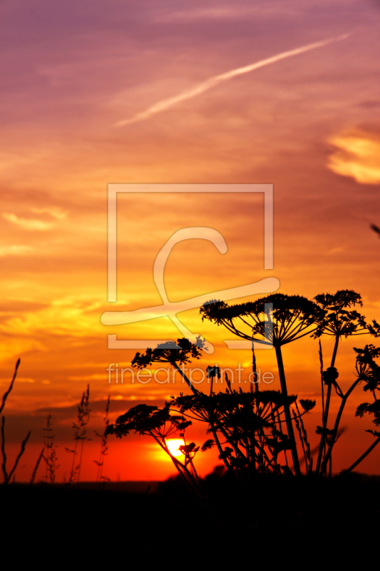 frei w&auml;hlbarer Bildausschnitt f&uuml;r Ihr Bild auf Kissen