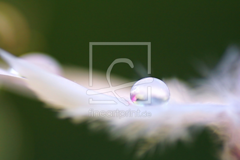 frei w&auml;hlbarer Bildausschnitt f&uuml;r Ihr Bild auf Kissen