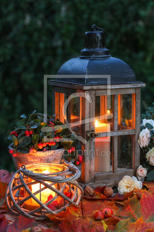 frei w&auml;hlbarer Bildausschnitt f&uuml;r Ihr Bild auf Kissen