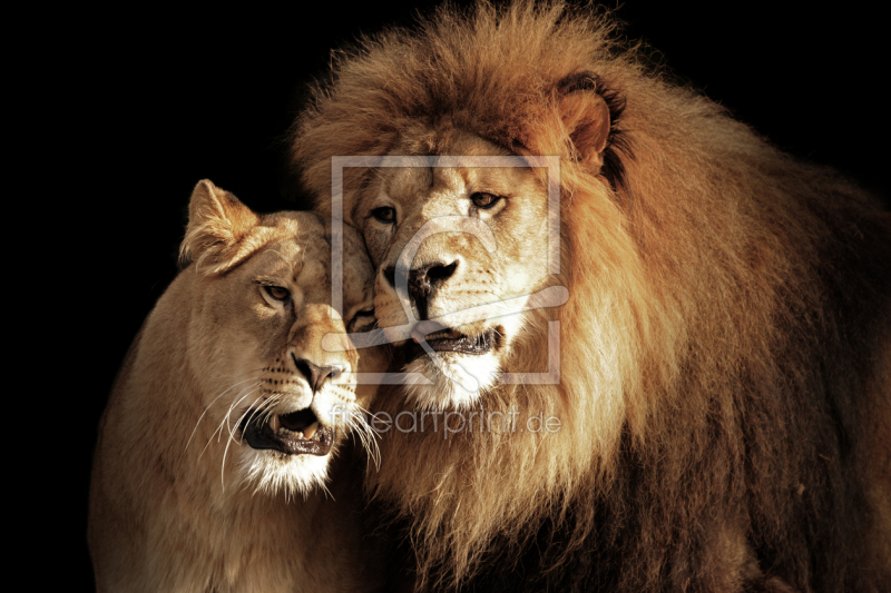 frei w&auml;hlbarer Bildausschnitt f&uuml;r Ihr Bild auf Kissen