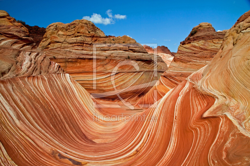 frei w&auml;hlbarer Bildausschnitt f&uuml;r Ihr Bild auf Kissen