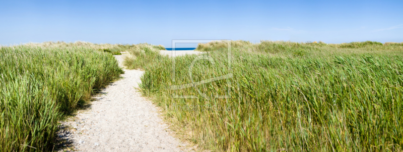 frei wählbarer Bildausschnitt für Ihr Bild auf Kissen