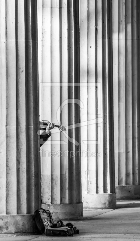 frei w&auml;hlbarer Bildausschnitt f&uuml;r Ihr Bild auf Kissen