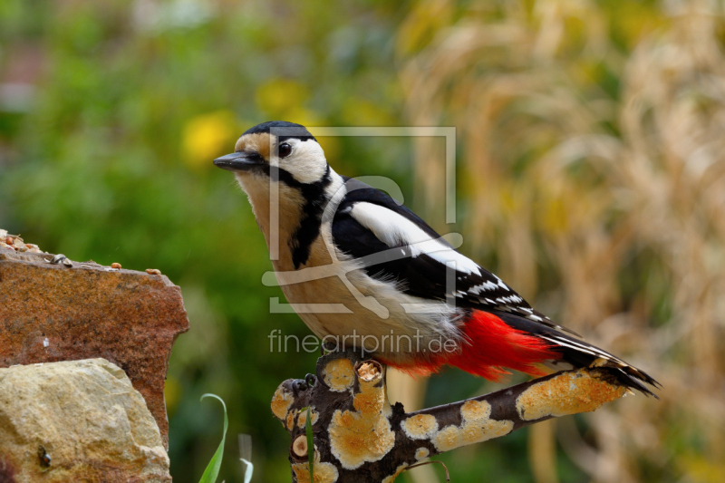frei w&auml;hlbarer Bildausschnitt f&uuml;r Ihr Bild auf Kissen