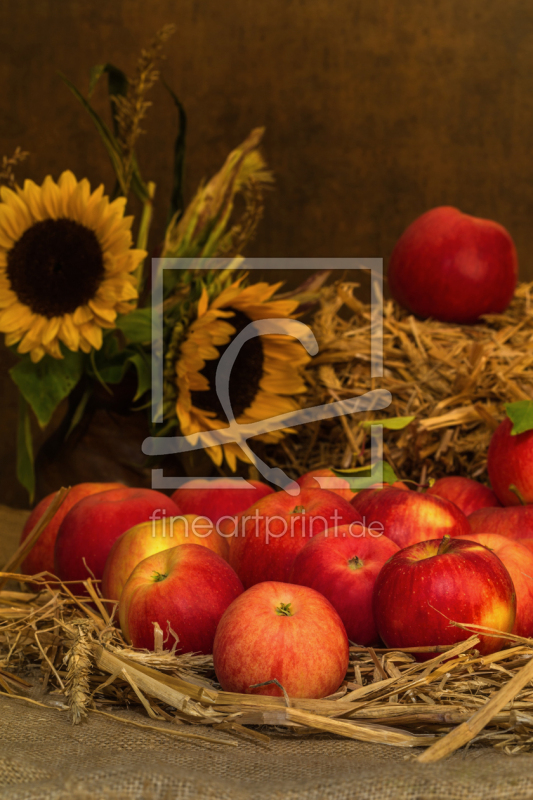 frei w&auml;hlbarer Bildausschnitt f&uuml;r Ihr Bild auf Kissen