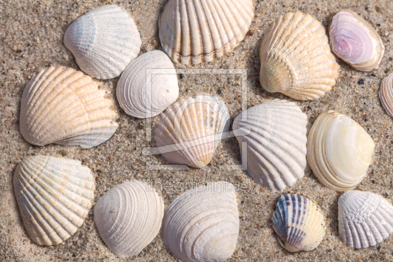 frei w&auml;hlbarer Bildausschnitt f&uuml;r Ihr Bild auf Kissen