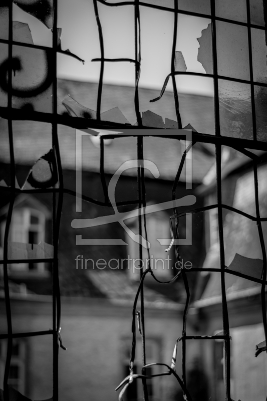 frei w&auml;hlbarer Bildausschnitt f&uuml;r Ihr Bild auf Kissen