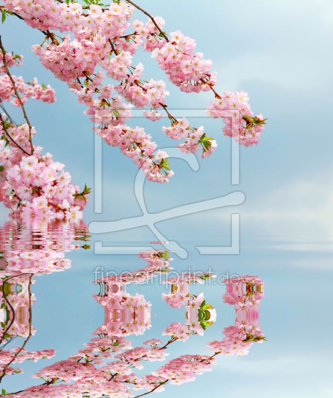 frei w&auml;hlbarer Bildausschnitt f&uuml;r Ihr Bild auf Kissen