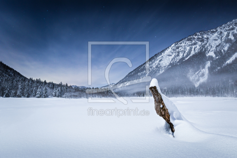 frei w&auml;hlbarer Bildausschnitt f&uuml;r Ihr Bild auf Kissen