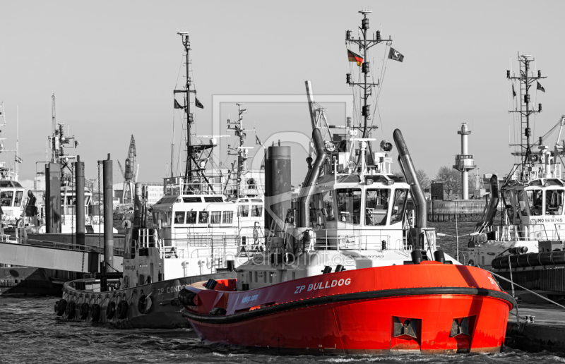 frei w&auml;hlbarer Bildausschnitt f&uuml;r Ihr Bild auf Kissen