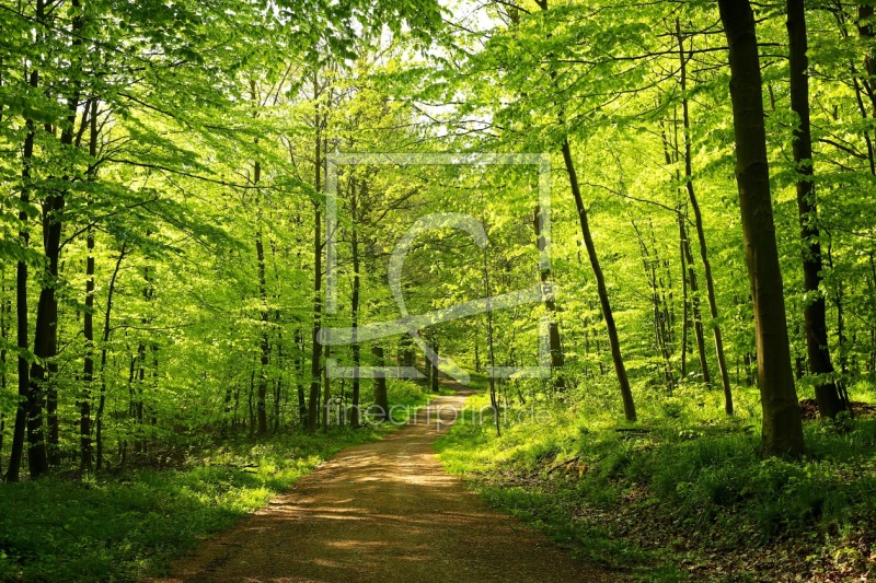 frei w&auml;hlbarer Bildausschnitt f&uuml;r Ihr Bild auf Kissen