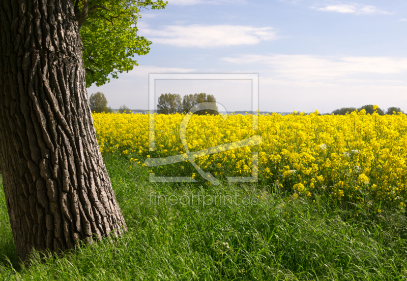 frei w&auml;hlbarer Bildausschnitt f&uuml;r Ihr Bild auf Kissen