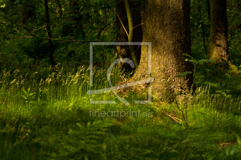 frei w&auml;hlbarer Bildausschnitt f&uuml;r Ihr Bild auf Kissen