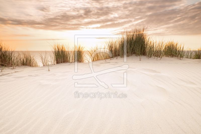 frei w&auml;hlbarer Bildausschnitt f&uuml;r Ihr Bild auf Kissen