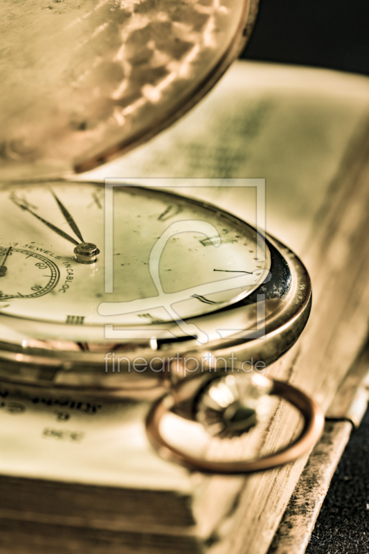 frei w&auml;hlbarer Bildausschnitt f&uuml;r Ihr Bild auf Kissen