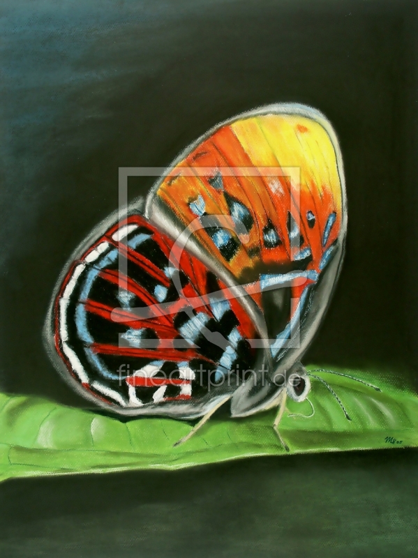 frei w&auml;hlbarer Bildausschnitt f&uuml;r Ihr Bild auf Kissen