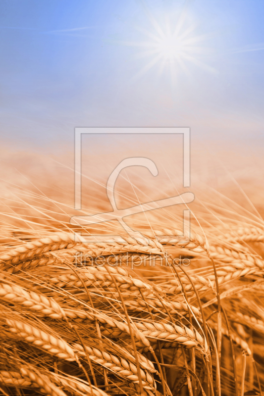 frei w&auml;hlbarer Bildausschnitt f&uuml;r Ihr Bild auf Kissen