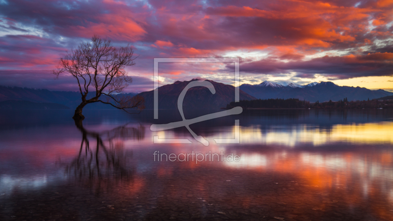 frei w&auml;hlbarer Bildausschnitt f&uuml;r Ihr Bild auf Kissen