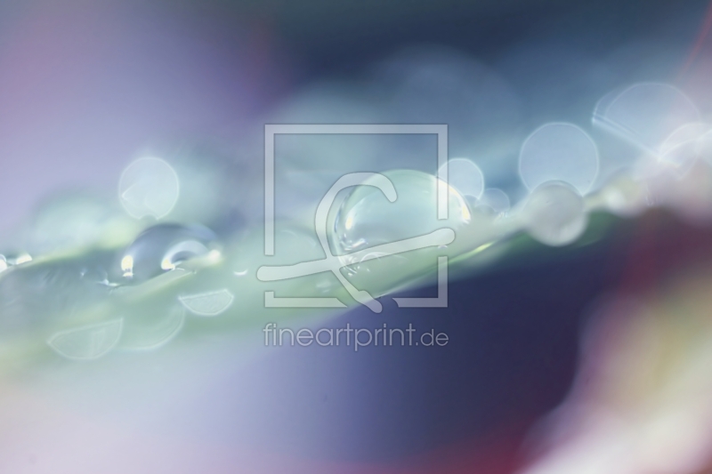 frei w&auml;hlbarer Bildausschnitt f&uuml;r Ihr Bild auf Kissen