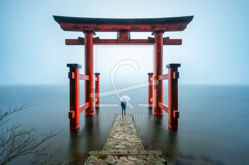 frei w&auml;hlbarer Bildausschnitt f&uuml;r Ihr Bild auf Kissen